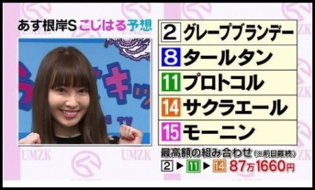 こじはる 小嶋陽菜が万馬券的中 いくら当てたのか予想 しらべぶ